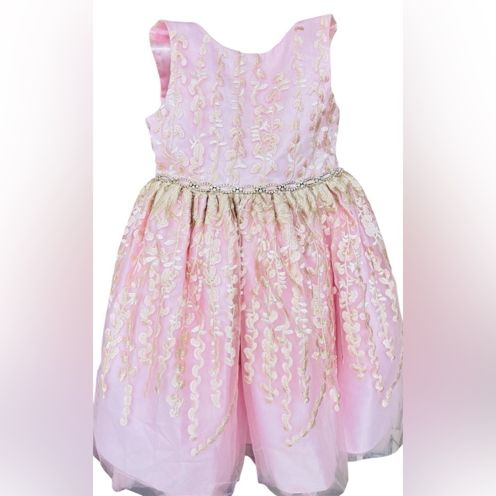American princess kids embroidered sleeveless dress